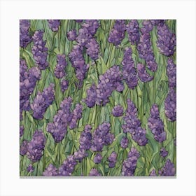 Lavender Field Canvas Print