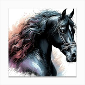 Black Horse Beauty Canvas Print