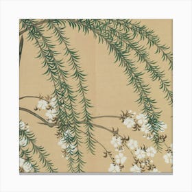 Japanese Cherry Blossoms Canvas Print