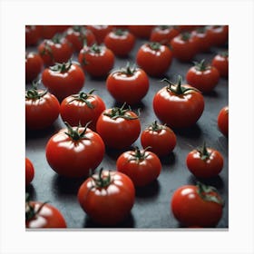 Red Tomatoes 14 Canvas Print