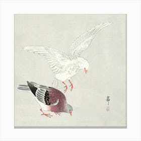 Two Pigeons (1877 1945), Ohara Koson Canvas Print
