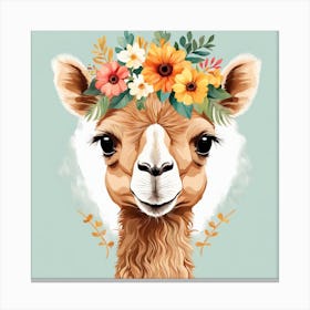 Floral Baby Camel Nursery Illustration (30) Canvas Print