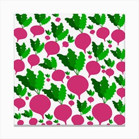 Radishes Canvas Print