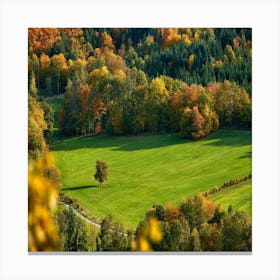 Autumn In The Forest Canvas Print