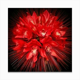 Firefly Explosion, Red, Orchids, Vibrant, Colorful, Floral, Dynamic, Dramatic, Vivid, Petals, Burst, (9) Canvas Print