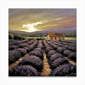 Lavender Field 1 Canvas Print