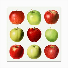 Apples On A White Background Canvas Print