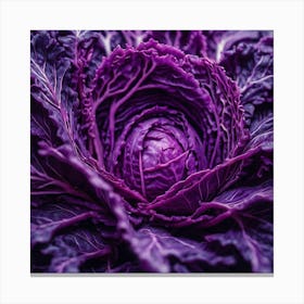Purple Cabbage Close Up 1 Canvas Print