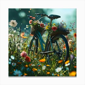 Bicycle In The Meadow 1 Canvas Print