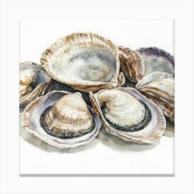 Clams Watercolor Illustration Canvas Print