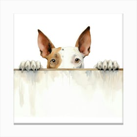 Bull Terrier 4 Canvas Print