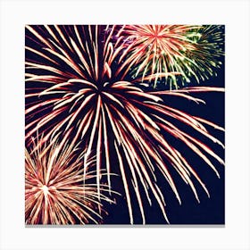 Fireworks In The Sky 4 Canvas Print