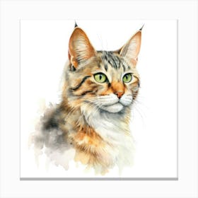 Kashmir Cat Portrait 1 Canvas Print