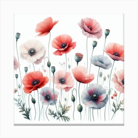 Oriental poppy 3 Canvas Print