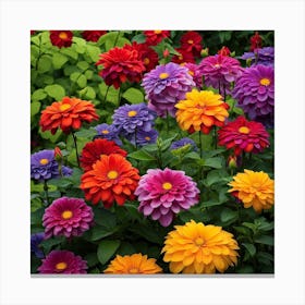 Colorful Dahlias 1 Canvas Print