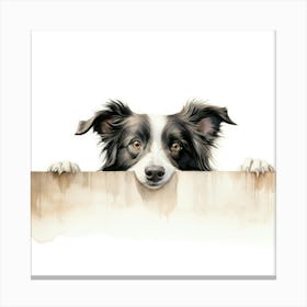 Border Collie 5 Canvas Print