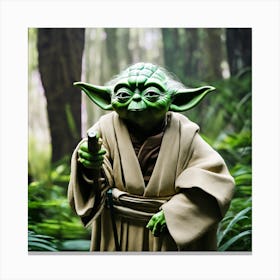 Yoda master 2 Canvas Print