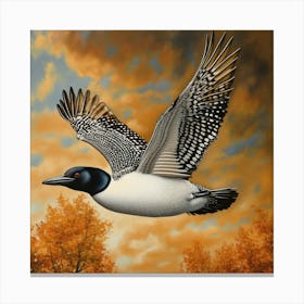 Loon In Flight Canvas Print