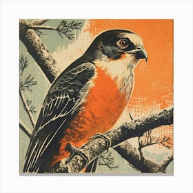 Retro Bird Lithograph Eurasian Sparrowhawk 3 Canvas Print