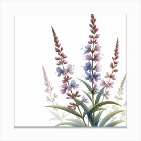 Flower of Willow herb 1 Canvas Print