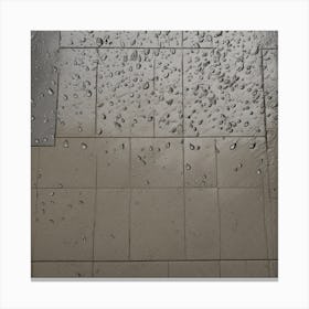 Raindrops On Tile Canvas Print