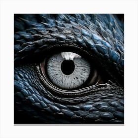 Firefly Black, Dragon, Closeup, Eye, Light, Grey, Blue, Macro, Noir, Black And White, Detailed, Text (10) Canvas Print