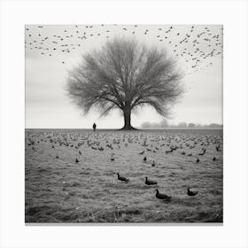 Lone Tree Canvas Print