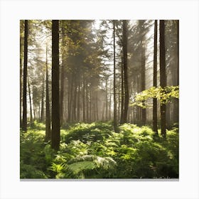 Ferns In The Forest 1 Canvas Print