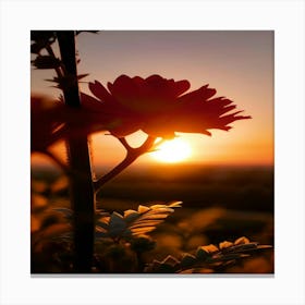 Sunset Flower 1 Canvas Print