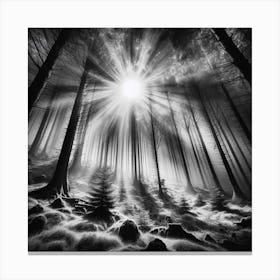 Dark Forest 4 Canvas Print