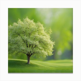 Green Tree In The Park Canvas Print