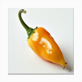 Hot Pepper Canvas Print