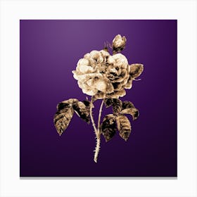 Gold Botanical Gallic Rose on Royal Purple n.3421 Canvas Print
