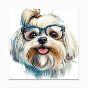 Shih Tzu 12 Canvas Print