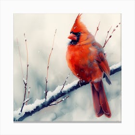 Cardinal In The Snow 7 Canvas Print