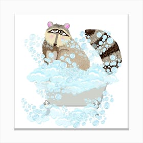 Racoon in the tub Canvas Print