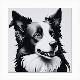 Border Collie Black and White Canvas Print