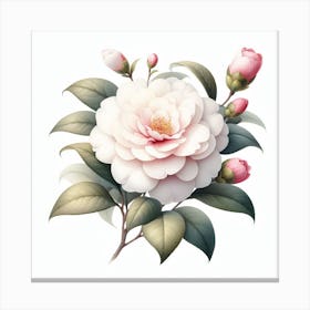 Flower of Camellia 1 Canvas Print