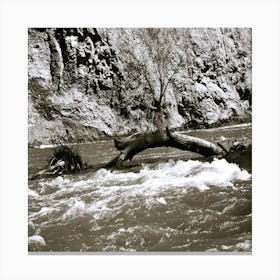 Mission Creek 1 Canvas Print