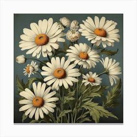Oxeye Daisy Floral Botanical Vintage Poster Flower Art print 1 Canvas Print