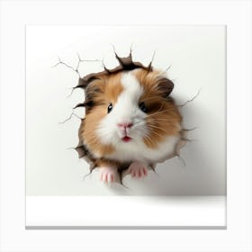 Guinea Pig 26 Canvas Print