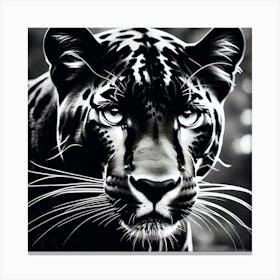 Jaguar 10 Canvas Print