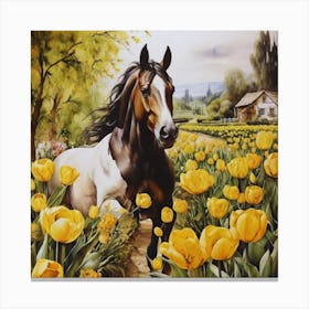 Horse In The Yellow Tulips Field Canvas Print