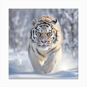 White Tiger 4 Canvas Print