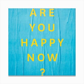 Are You Happy Now? Canvas Print