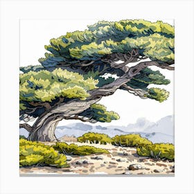 Cypress Tree Canvas Print