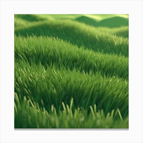 Grass Field 13 Canvas Print