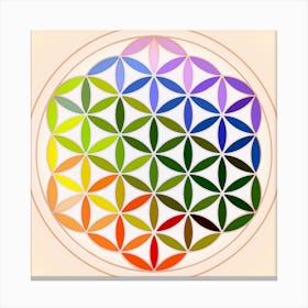 Mandala Rainbow Colorful Reiki Canvas Print