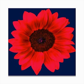 Red Sunflower Square Canvas Print