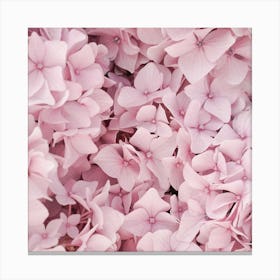 Pink Hydrangea Blossom Square Canvas Print